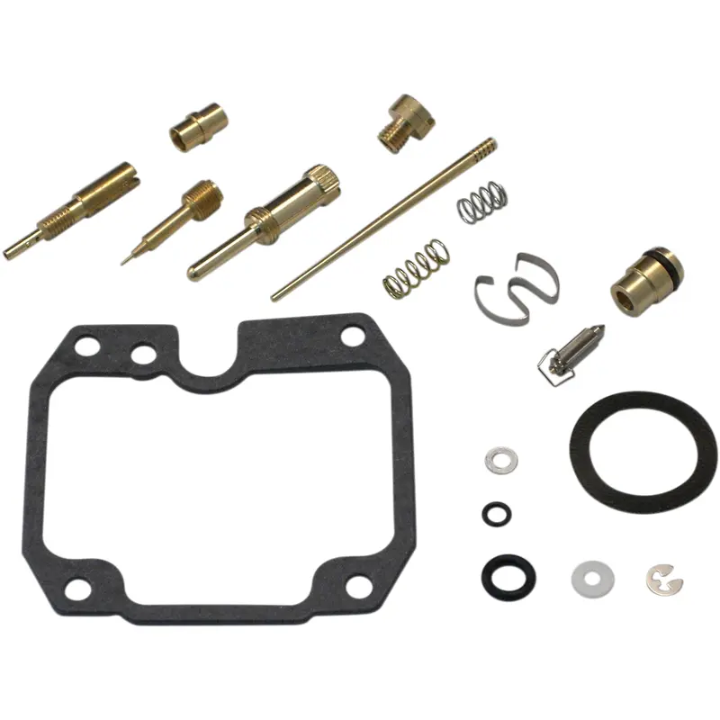 Carburetor Repair Kit