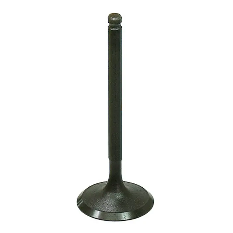 BRONCO INTAKE VALVE