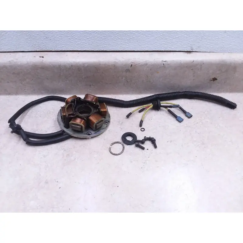 Ducati 250 Scrambler SCR Engine Generator Stator 1966 1967 VTG ANX-C18