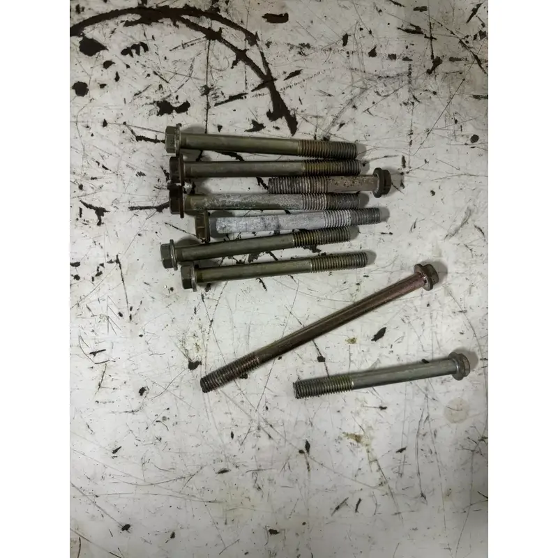 2005 Polaris Trail Boss 330 2x4 Engine Case Bolts Bolt Set 03-07