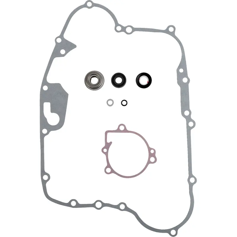 Water Pump Rebuild Kit