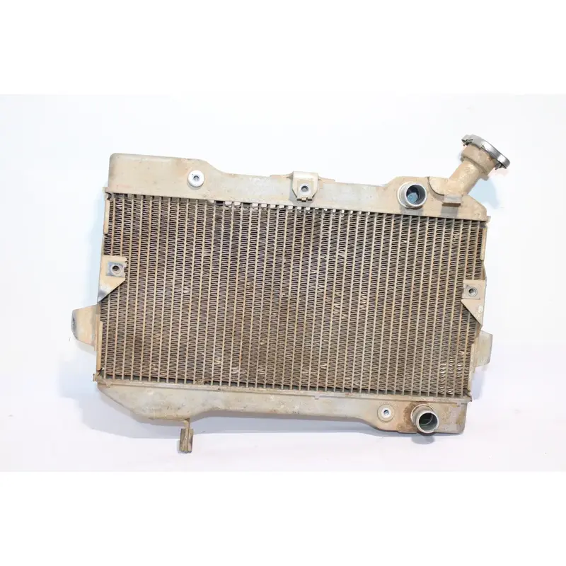 2006-2009 Suzuki Quadracer 450 Ltr450 OEM Radiator Clean! 17710-45G00