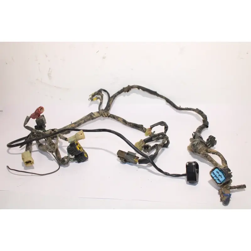 2004-2005 Honda 450 Trx450r Wiring Harness Motor Wire Loom Slight Damage