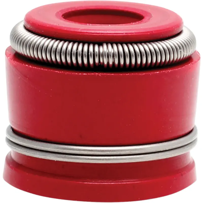 Replacement Value Guide Seal