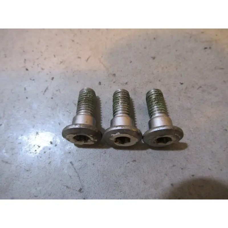 Honda TRX 300EX Brake Disc Screws Front 1993