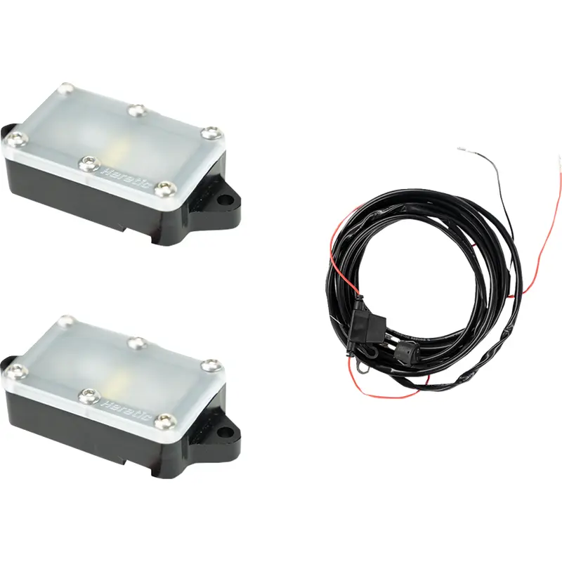 LED Rock Light