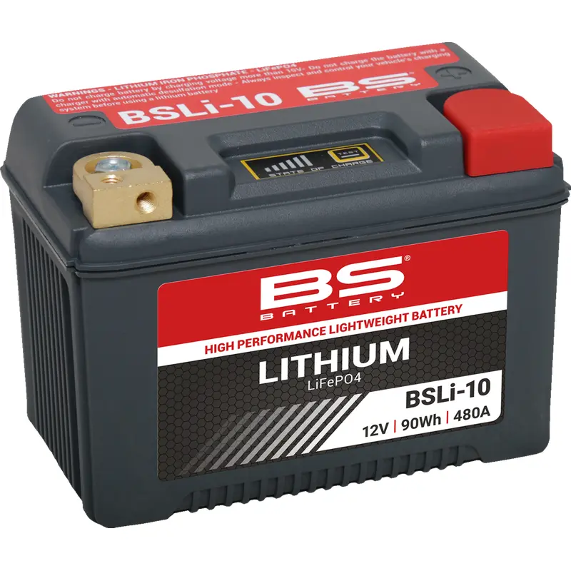 Lithium LiFePO4 Battery