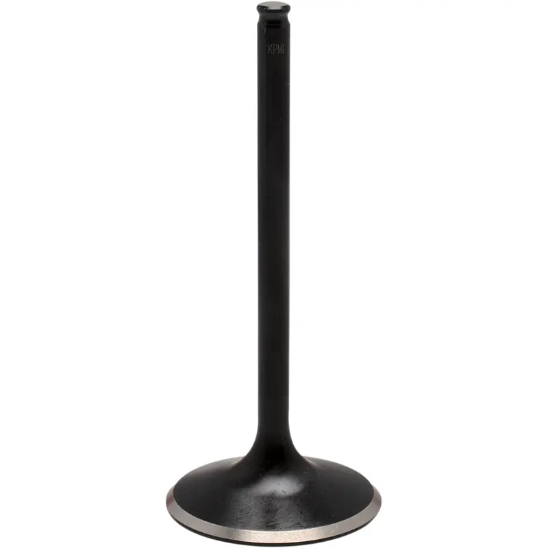 Black Diamond Engine Valve