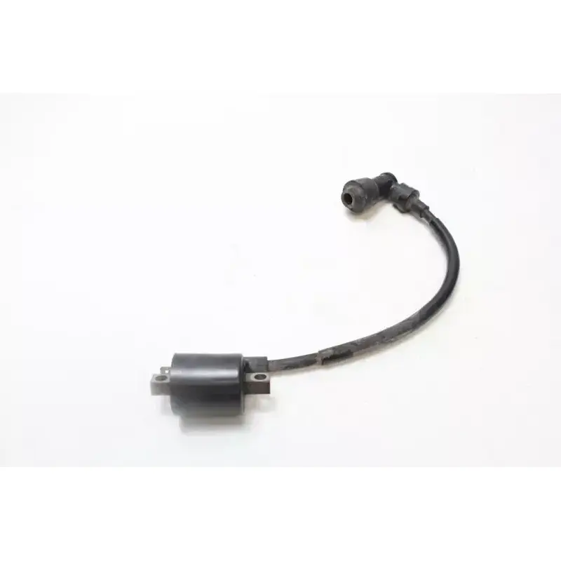 00 Yamaha Ttr125 Ignition Coil B4257