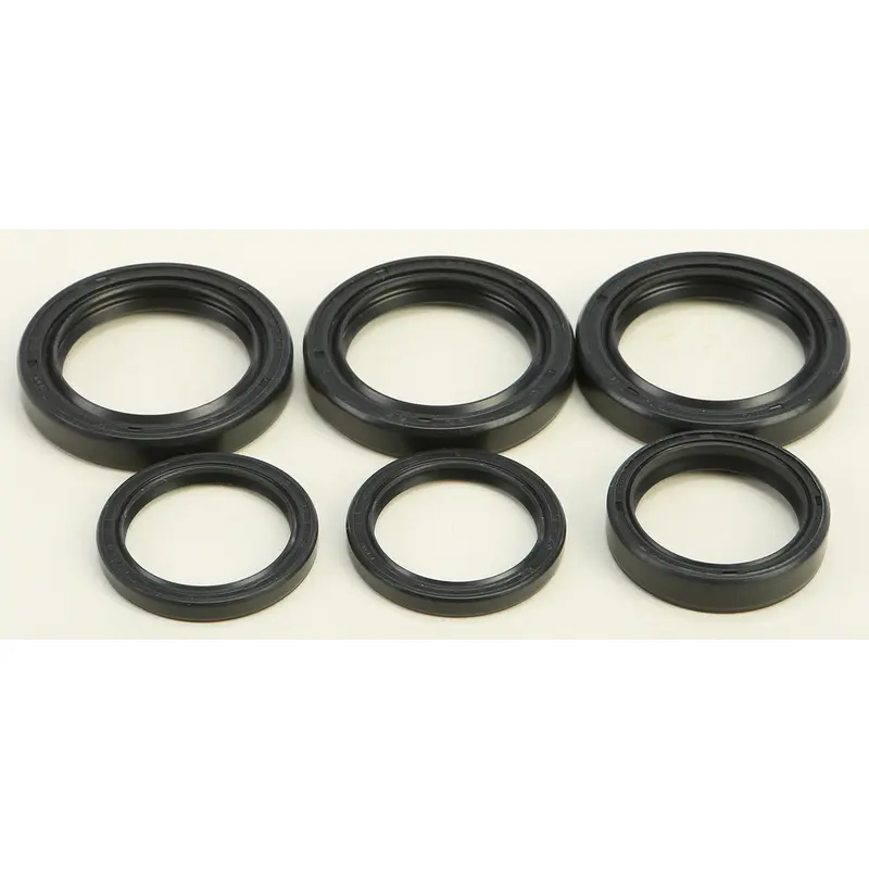 ALL BALLS DIFFERENTIAL SEAL KIT