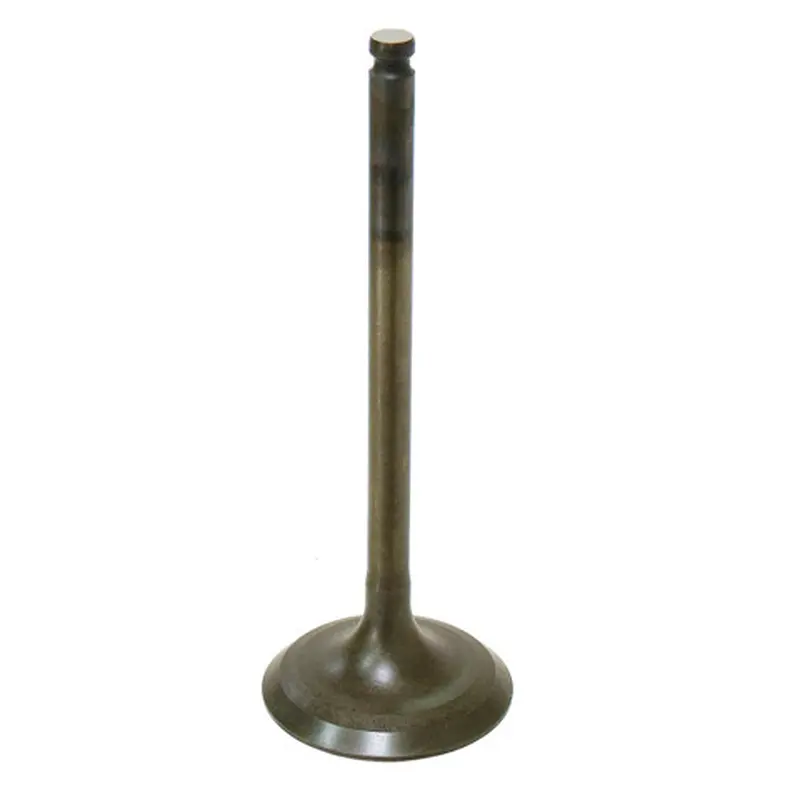 BRONCO INTAKE VALVE
