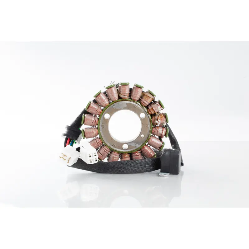 RICKS STATOR