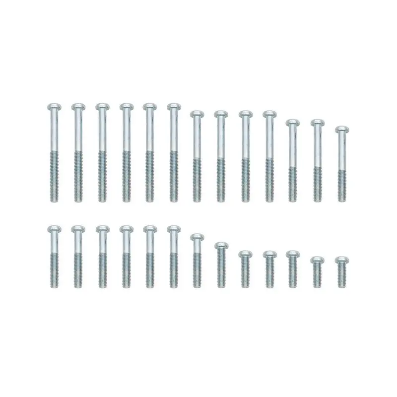 HONDA Z50 CT70 SL70 XL70 Z50R CL70 ENGINE SCREW KIT