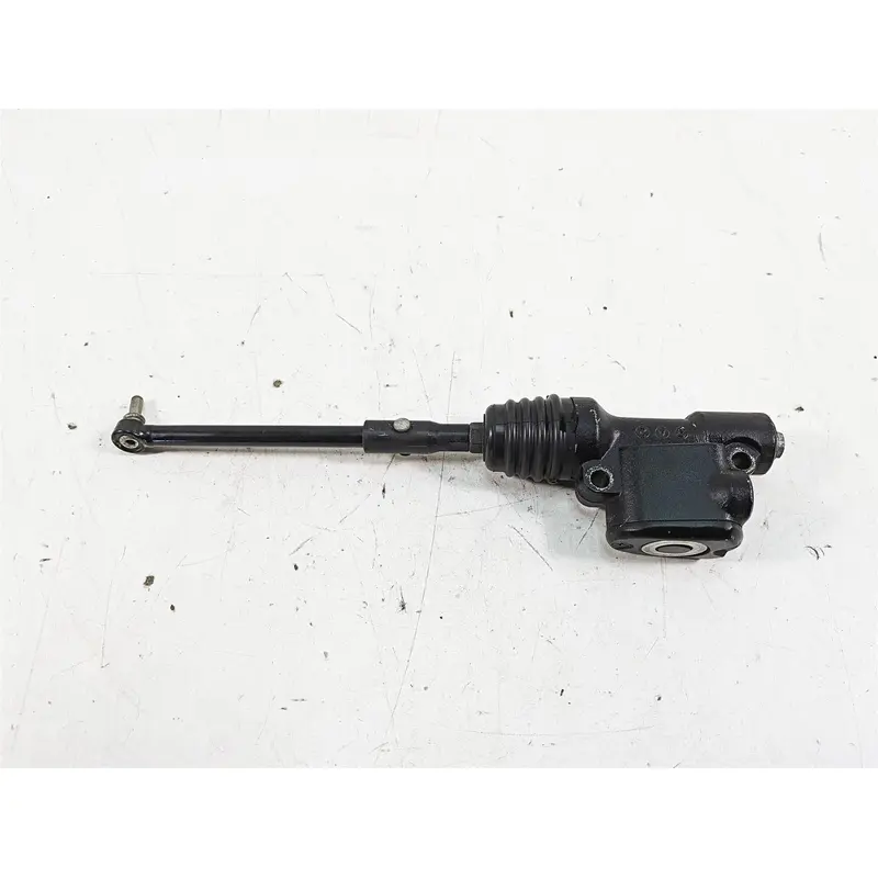 2019 Harley XL883N Sportster Iron Rear Brake Master Cylinder 41700025