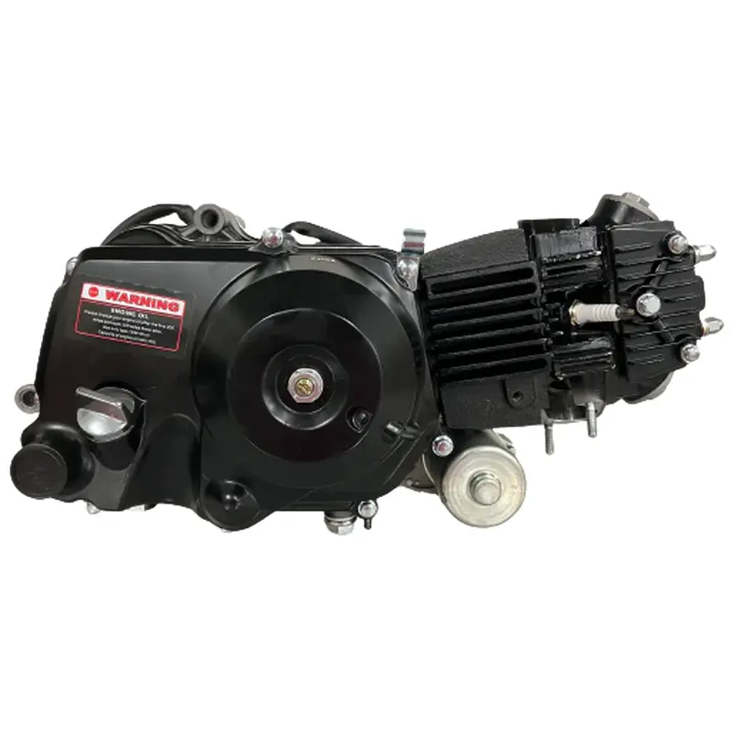 Dongfang Grizzly 125 ATV 110cc Engine