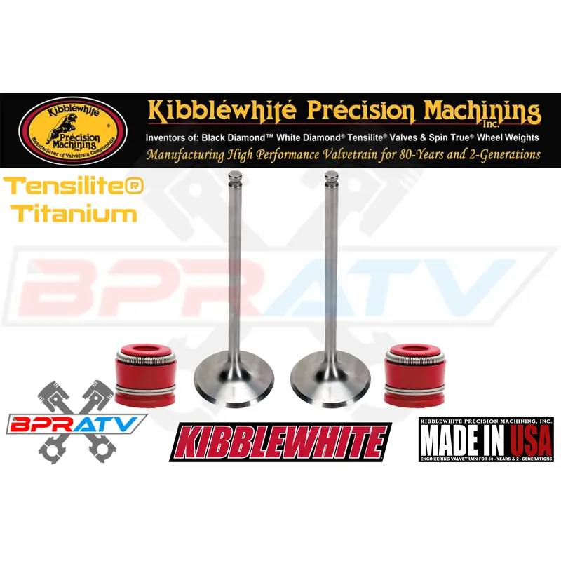 19-25 Yamaha YZ250F YZ WR 250F OEM Kibblewhite Tensilite Titanium INTAKE Valves