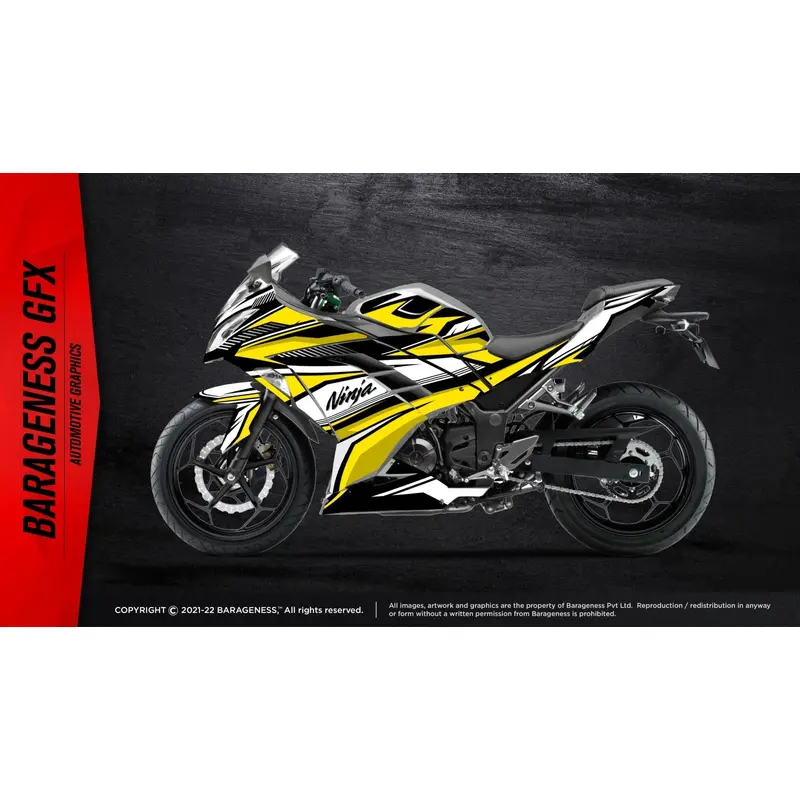 Barageness - Kawazaki Ninja 300 Automotive Graphics