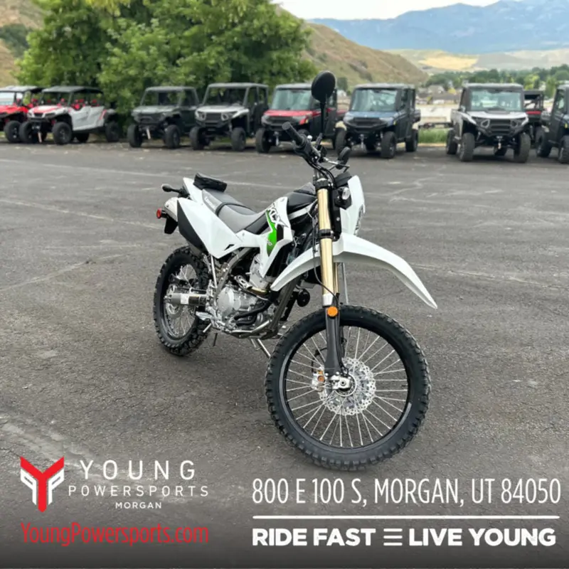 New 2026 KAWASAKI KLX 300