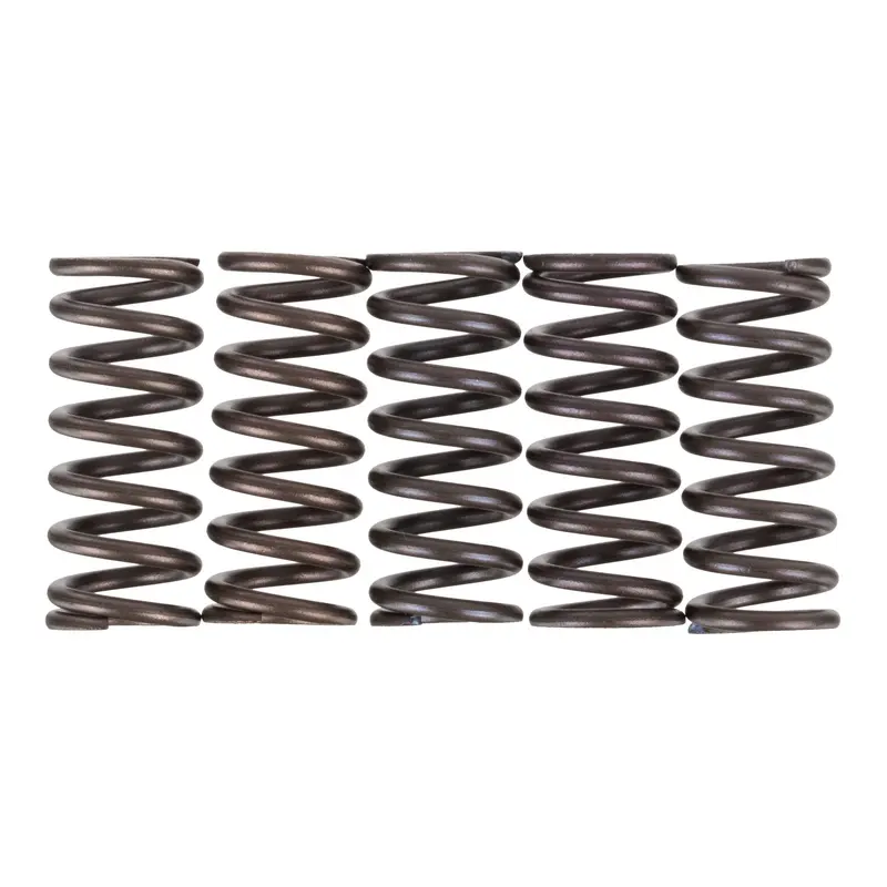 Premier Clutch Springs - Heavy Duty
