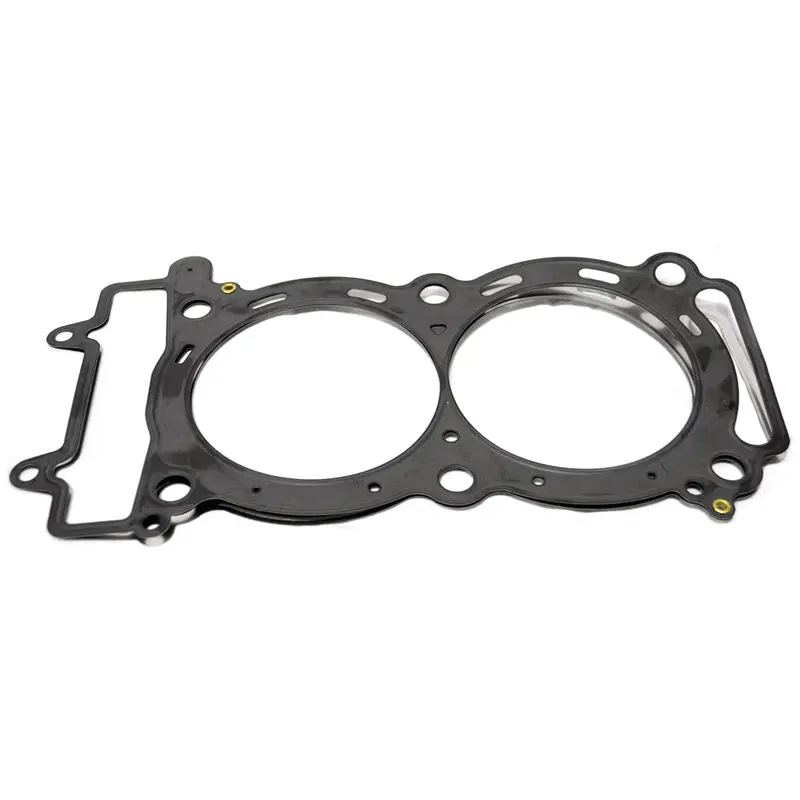 Head Gaskets / RZR XP 900