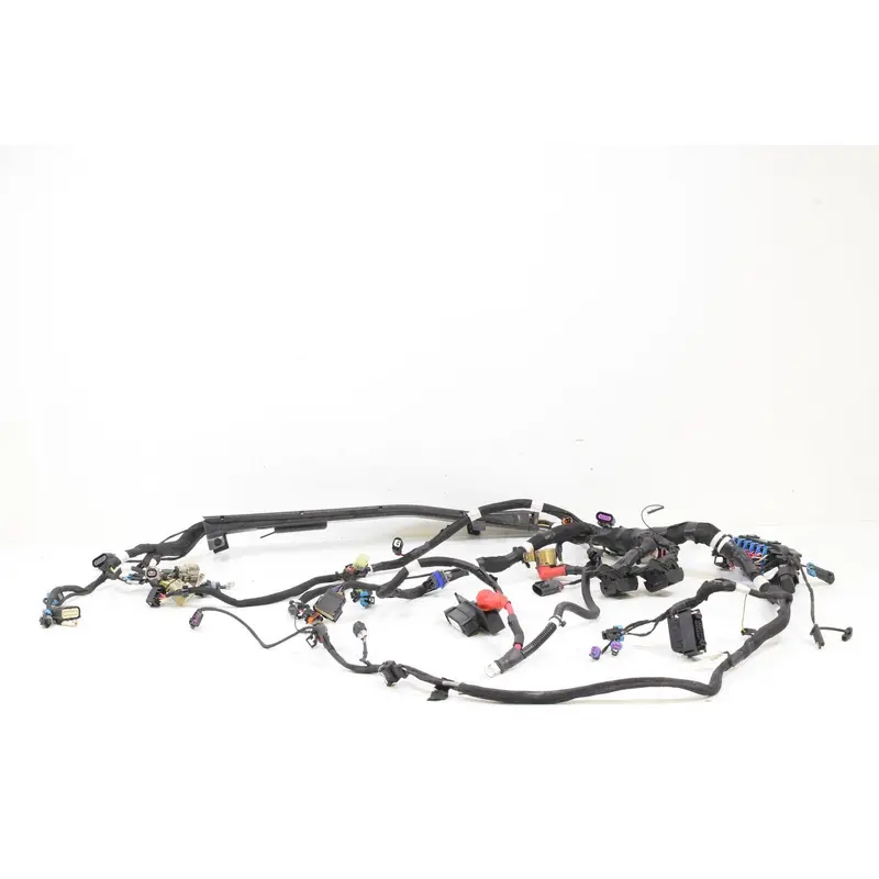 2018 Indian Roadmaster Wiring Harness Loom -No Cuts 2414065