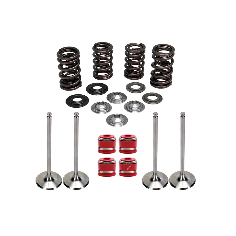 04 05 06 Suzuki RMZ250 RMZ 250 Kibblewhite Intake & Exhaust Valves Springs Seals