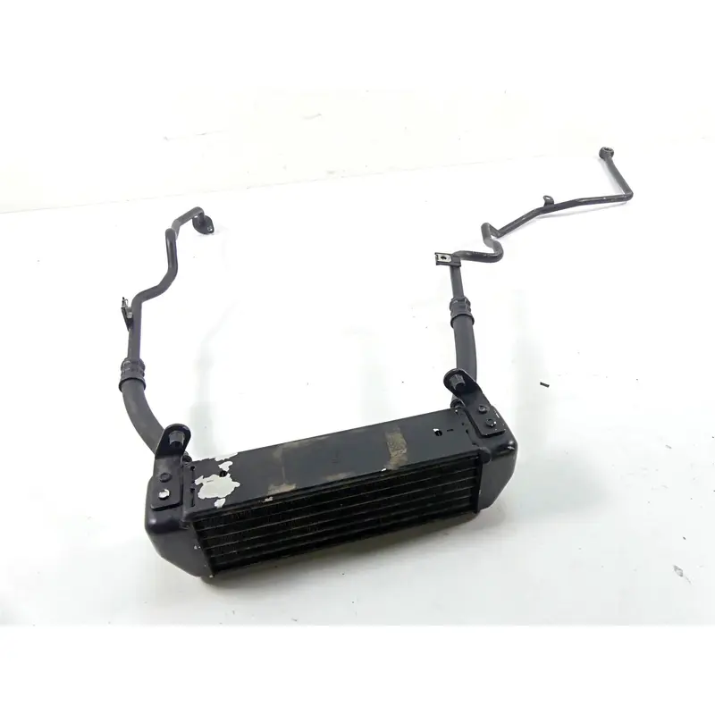 2009 BMW R1200GS K255 Adv Oil Cooler Radiator & Lines 17217712866