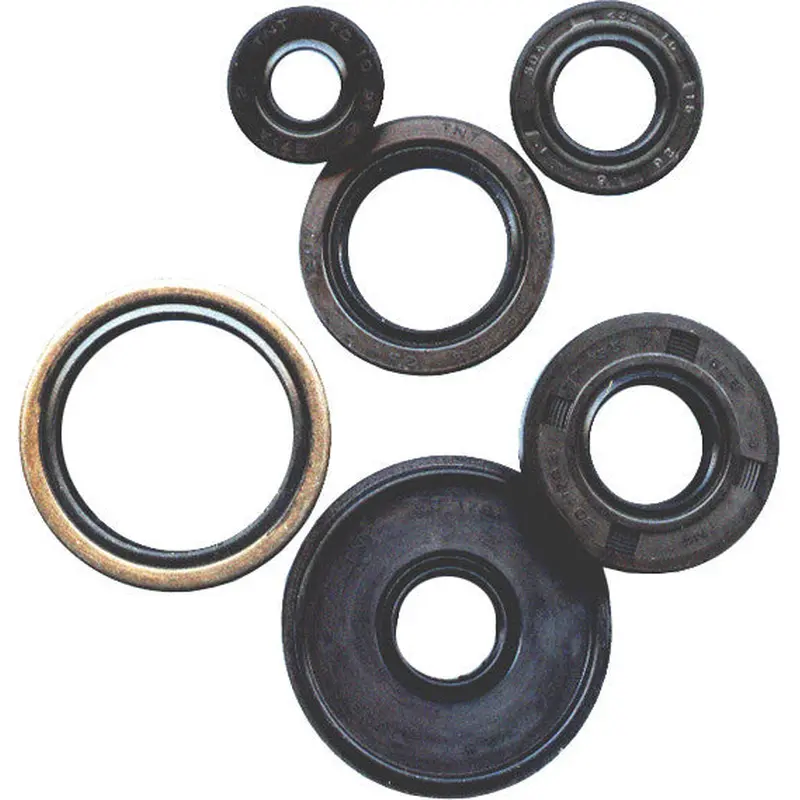 WINDEROSA OIL SEAL SET 822273