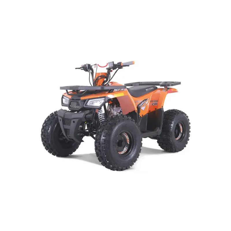 Tao Tao Rival Mudhawk 10 Children's ATV, 4-Stroke 125cc