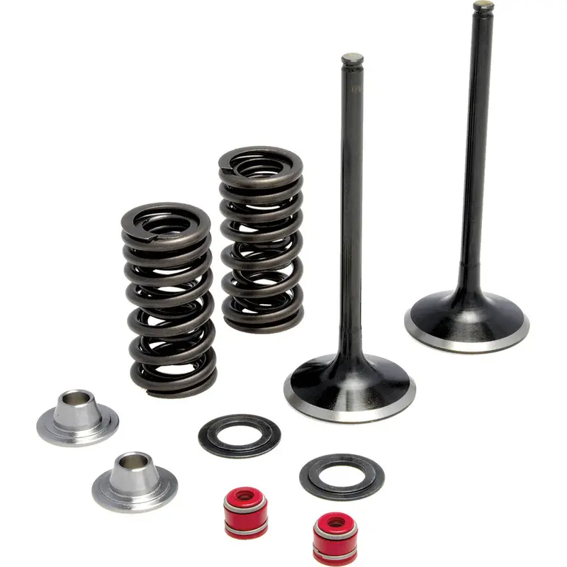 KPMI INTAKE VALVE SPRING KIT 30-31200