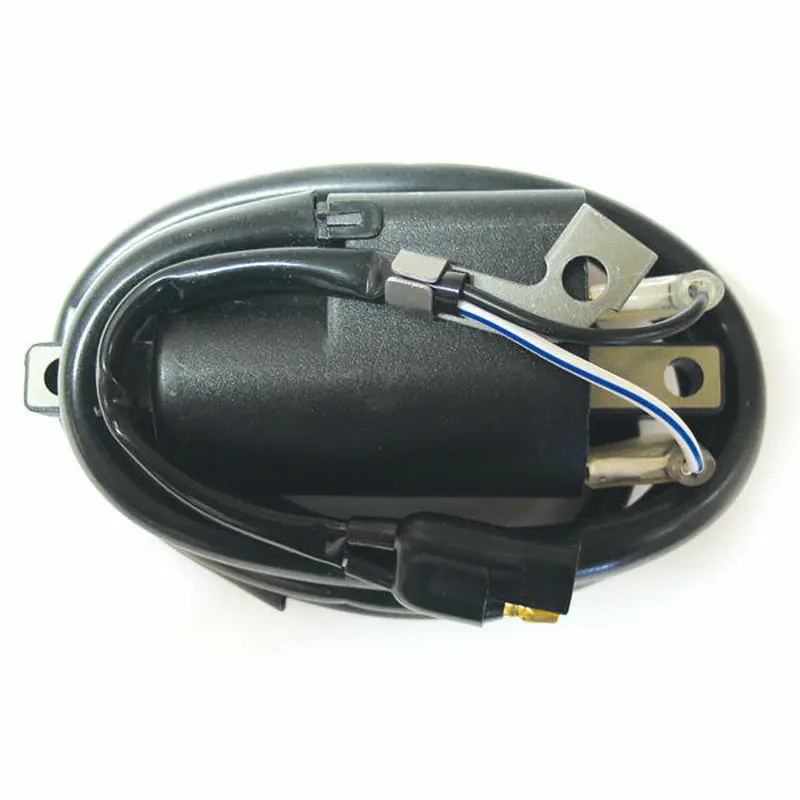 COIL EXT IGN S-D M-S (01-143-55)