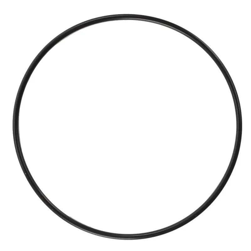 AGCO | O-Ring - F743300020430