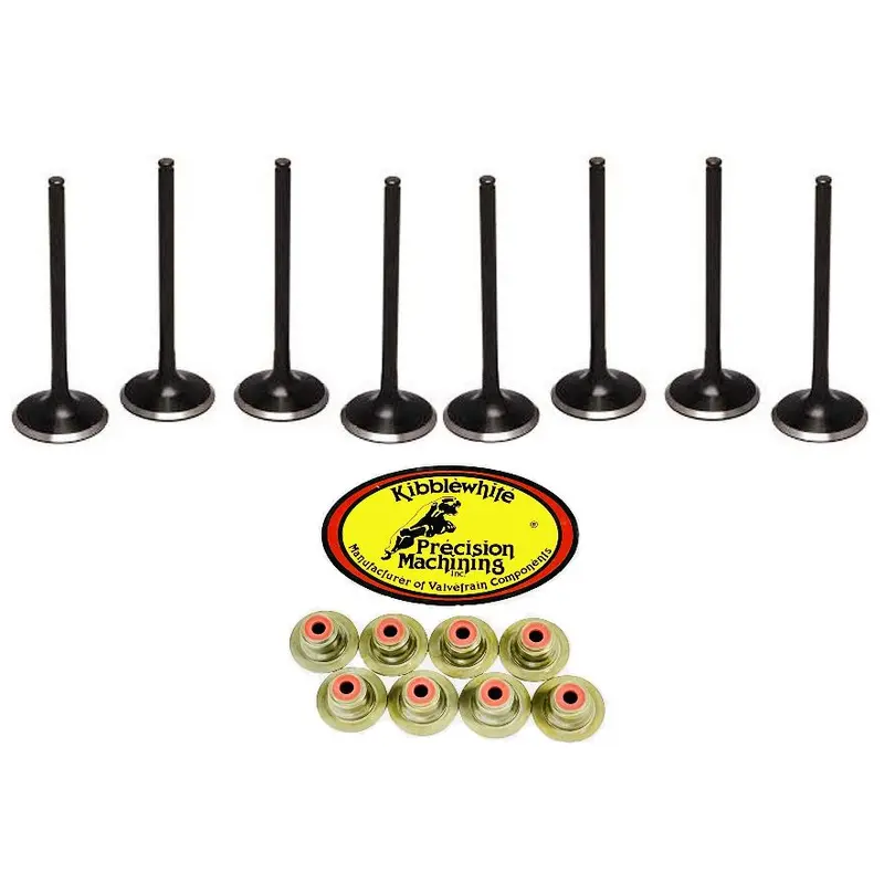 RZR XP Turbo S S4 Kibblewhite Valves Black Diamond Intake Exhaust Valve Seals