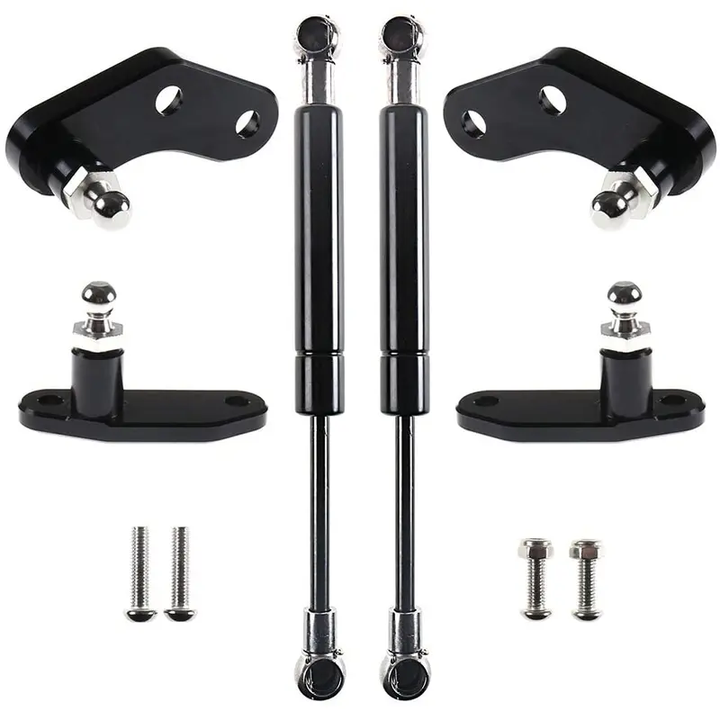 X3 Door Openers (Pair W/Gas Struts) by GZC