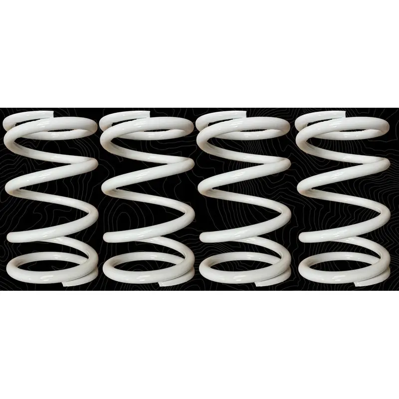ZFORCE 950 H.O. EX TENDER SPRINGS