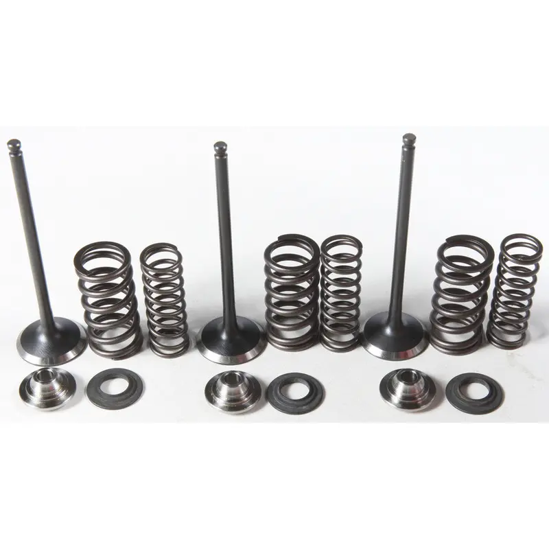 KPMI INTAKE VALVE/SPRING KIT STAINLESS STEEL 80-80850