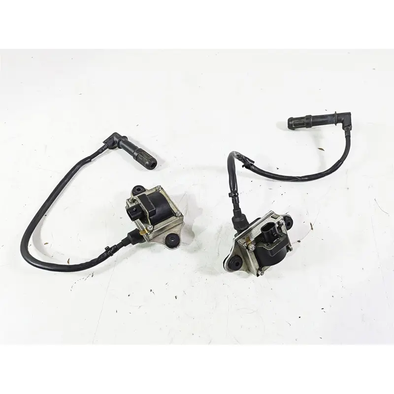 2016 Moto Guzzi Stelvio 1200 8V NTX Ignition Coil Wires Plugs Set GU30716500