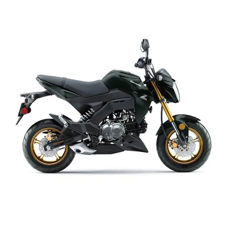 New 2025 Kawasaki Z125 PRO