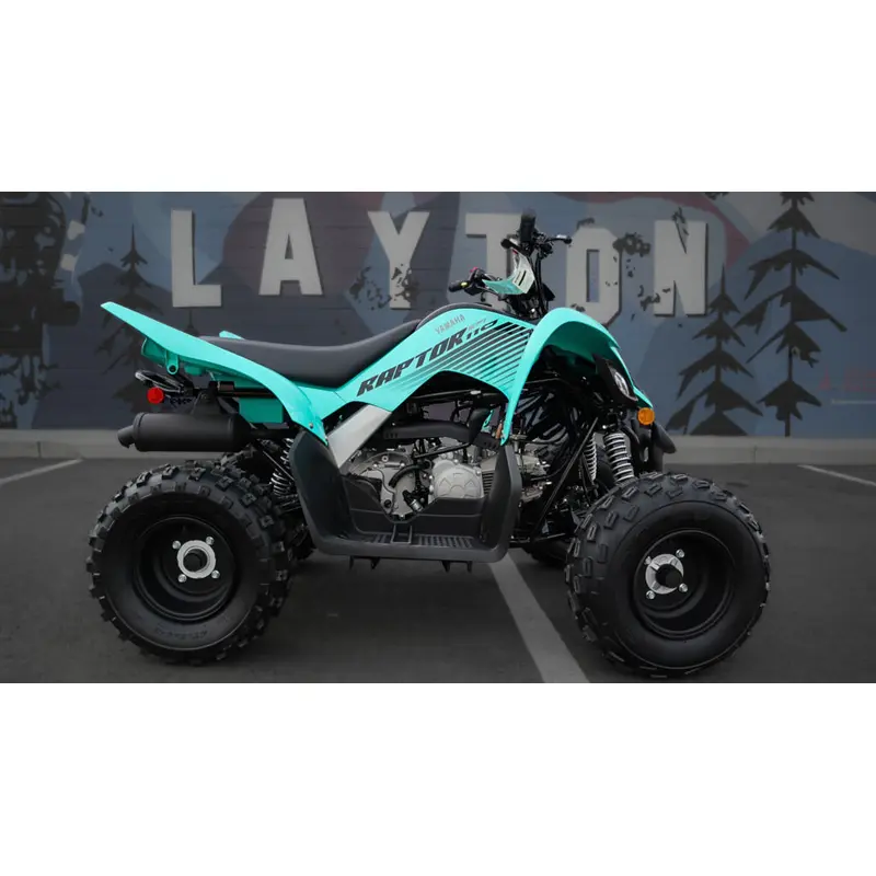 New 2025 Yamaha Raptor 110