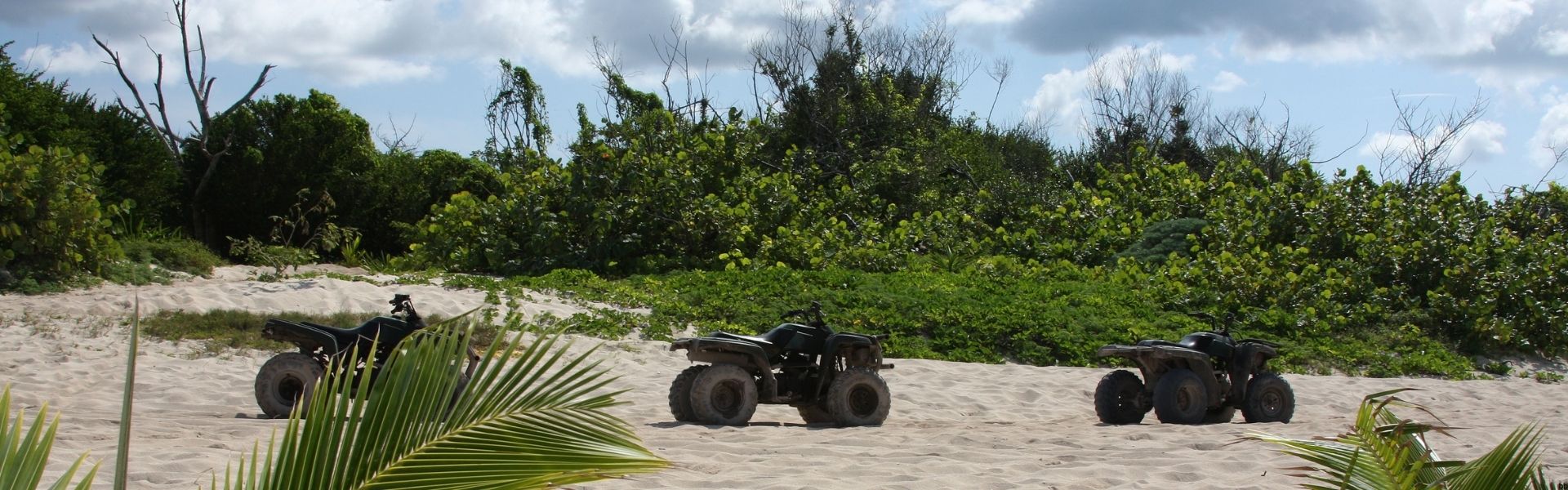 Premium ATV Parts & Engine Upgrades Online